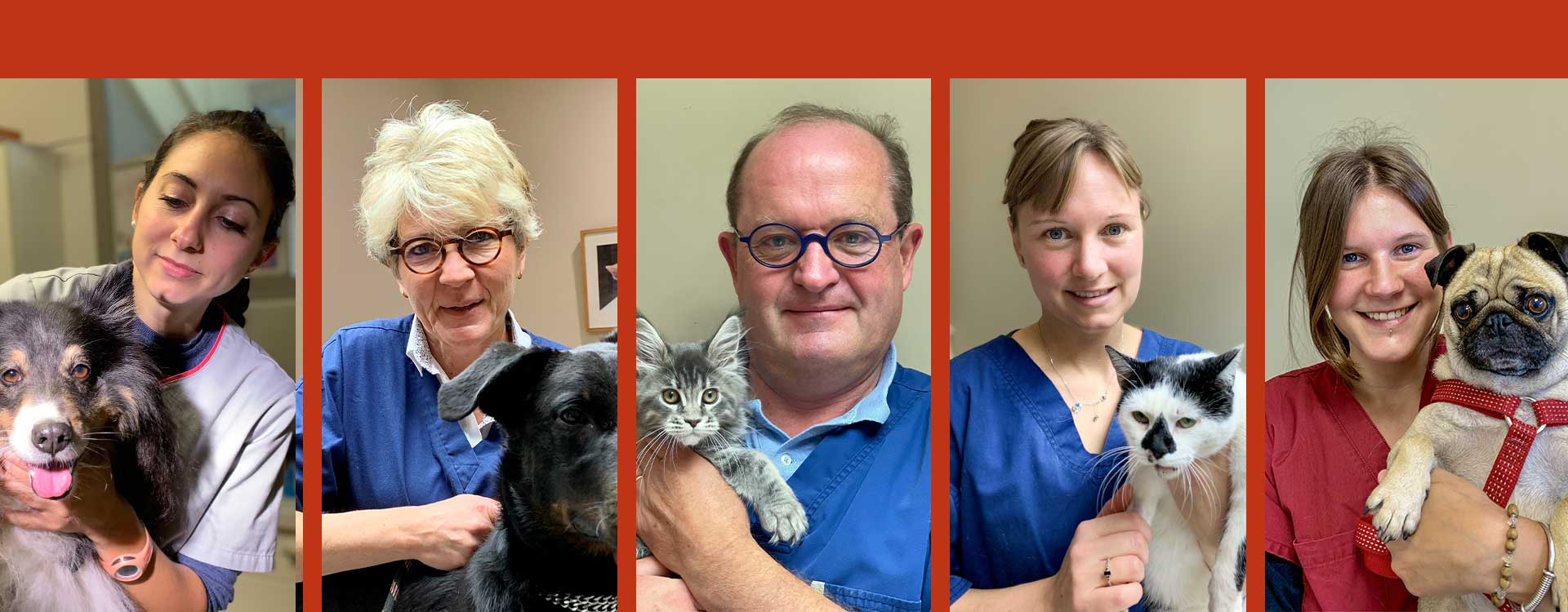 Bienvenue a la Clinique Veterinaire SAINT ROCH a Lavaur